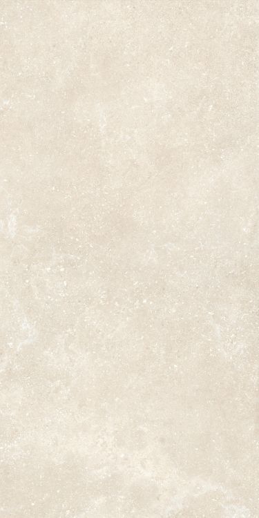 Untamed Wander Warm 24 x 48